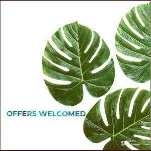 If you like it, offer!